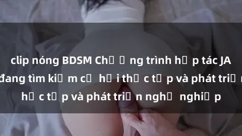 clip nóng BDSM Chương trình hợp tác JAV cho sinh viên đang tìm kiếm cơ hội thực tập và phát triển nghề nghiệp